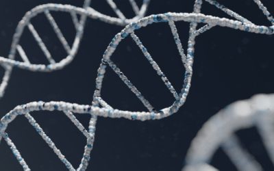 Notre psychologie est-elle liée à notre génétique ?
